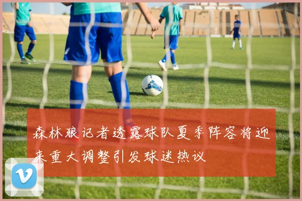 森林狼记者透露球队夏季阵容将迎来重大调整引发球迷热议