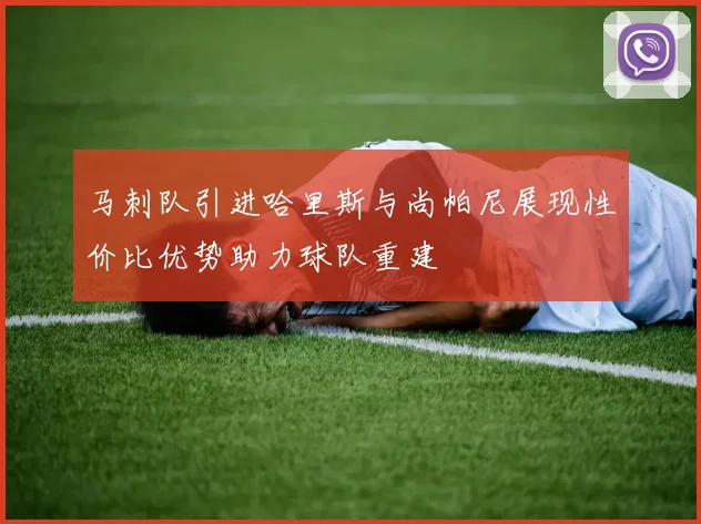 马刺队引进哈里斯与尚帕尼展现性价比优势助力球队重建